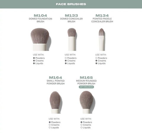 Ready Set Pro Brush Set + Eyeshadow Palette