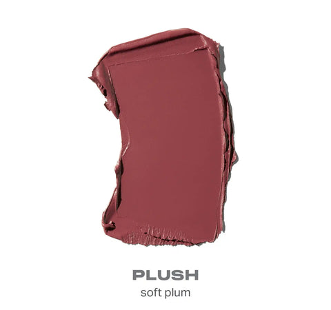 Plum Cloudlight Soft Glow Diffused Blush & Lip Filter Hydroplump Soft Matte Lipstick Bundle